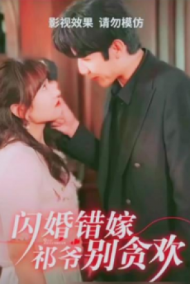 闪婚错嫁祁爷别贪欢