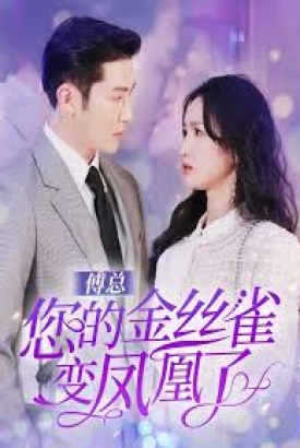 傅总您的金丝雀变凤凰了 傅总您的金丝雀变凤凰了