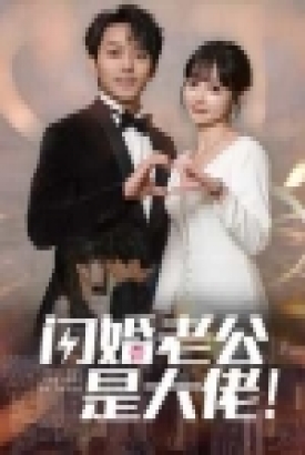 闪婚老公是大佬 闪婚老公是大佬