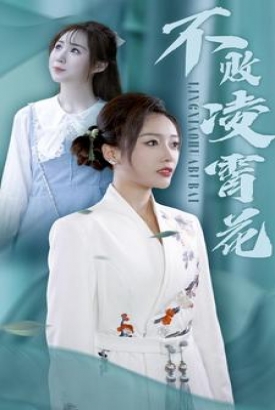 不败凌霄花 不败凌霄花