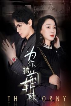为你披荆斩棘 为你披荆斩棘