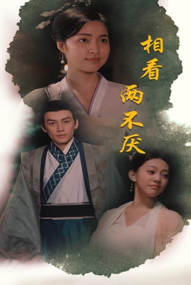 相看两不厌这个王妃不好惹 相看两不厌这个王妃不好惹