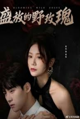 盛放的野玫瑰 盛放的野玫瑰