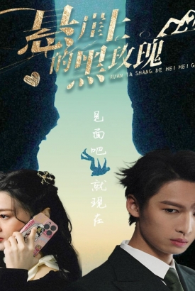 悬崖上的黑玫瑰101集 悬崖上的黑玫瑰101集