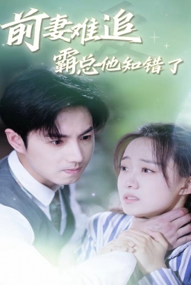 前妻难追,霸总他知错了 前妻难追,霸总他知错了