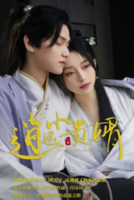 逍遥小贵婿 逍遥小贵婿
