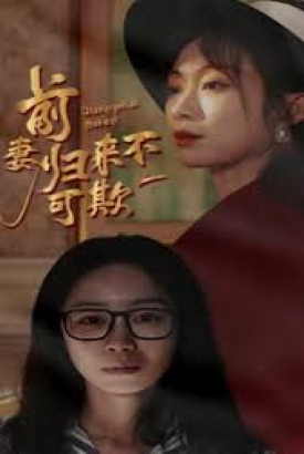 前妻归来不可欺 前妻归来不可欺