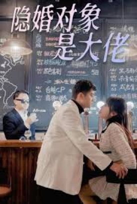 隐婚对象是大佬 隐婚对象是大佬