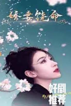 娇妻饶命
