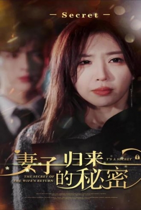 妻子归来的秘密 妻子归来的秘密