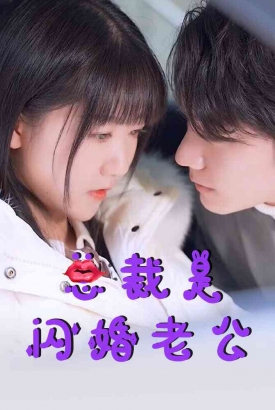 总裁是闪婚老公 总裁是闪婚老公
