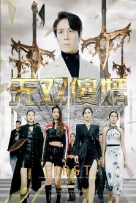 无双傻婿 无双傻婿