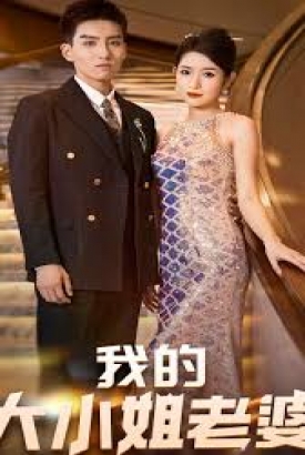 我的大小姐老婆 我的大小姐老婆