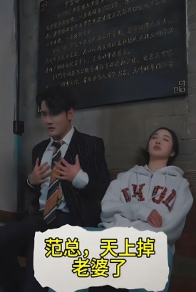 范总天上掉老婆了 范总天上掉老婆了