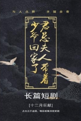 君总夫人带着少爷回家了 君总夫人带着少爷回家了