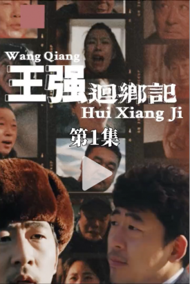 王强回乡记 王强回乡记