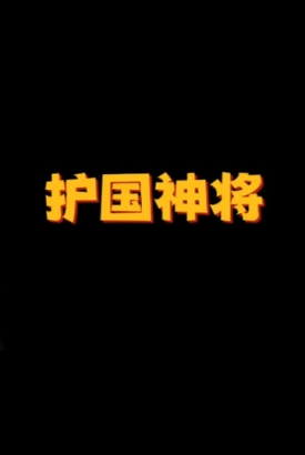 护国神将 护国神将