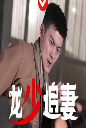 龙少追妻【1-108合集】 龙少追妻【1-108合集】