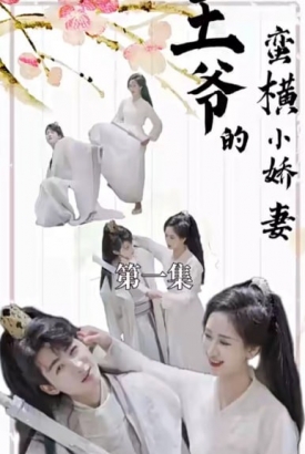 王爷的蛮横小娇妻【1-90合集】 王爷的蛮横小娇妻【1-90合集】
