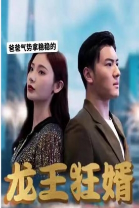 龙王狂婿【1-79合集】 龙王狂婿【1-79合集】