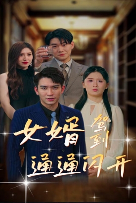 女婿驾到通通闪开 女婿驾到通通闪开