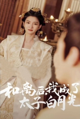 和离后我成了太子白月光 和离后我成了太子白月光