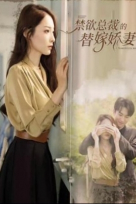 禁欲总裁的替嫁娇妻/闪婚试爱暮总的天价影后 禁欲总裁的替嫁娇妻/闪婚试爱暮总的天价影后
