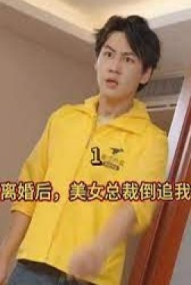 离婚后美女总裁倒追我 离婚后美女总裁倒追我
