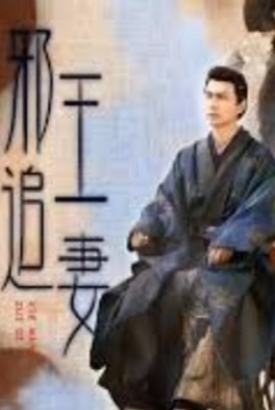 邪王追妻 邪王追妻