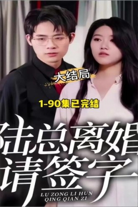 陆总离婚请签字 陆总离婚请签字