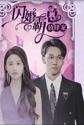 闪婚霸总放肆宠【合集】 闪婚霸总放肆宠【合集】
