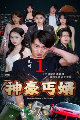 神豪丐婿 神豪丐婿
