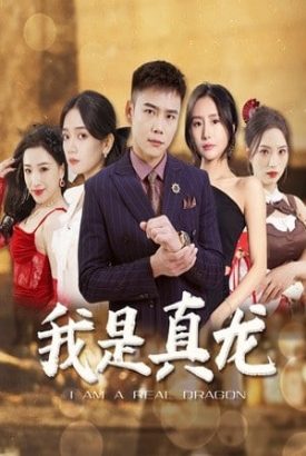 身份曝光后丈母娘悔疯了/我是真龙 身份曝光后丈母娘悔疯了/我是真龙