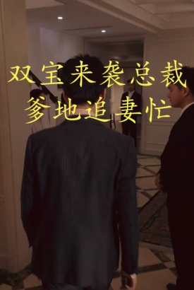 双宝来袭总裁爹地追妻忙 双宝来袭总裁爹地追妻忙