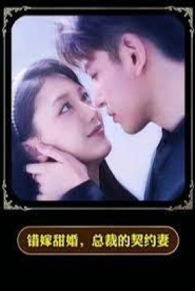 错嫁甜婚总裁的契约妻 错嫁甜婚总裁的契约妻