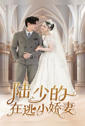 陆少的在逃小娇妻【1-71合集】 陆少的在逃小娇妻【1-71合集】