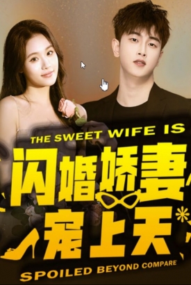 闪婚娇妻宠上天 闪婚娇妻宠上天