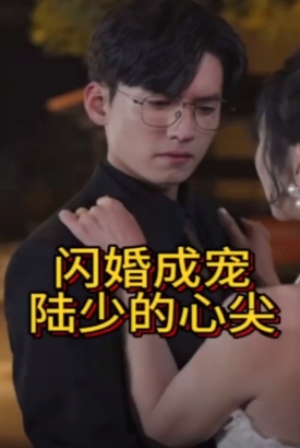 悔婚后我变成陆总的心尖宠 悔婚后我变成陆总的心尖宠