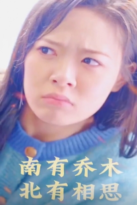 南有乔木北有相思 南有乔木北有相思