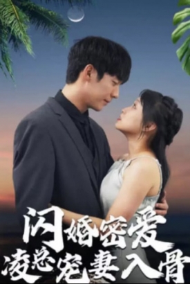 闪婚蜜爱凌总宠妻入骨 闪婚蜜爱凌总宠妻入骨