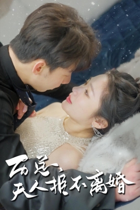 历总夫人拒不离婚 历总夫人拒不离婚