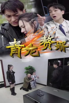 青龙赘婿【1-95合集】 青龙赘婿【1-95合集】