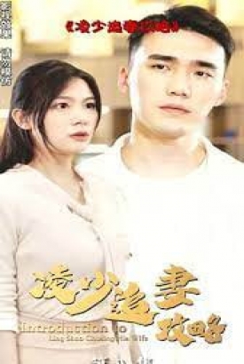 凌少追妻攻略【1-97合集】 凌少追妻攻略【1-97合集】