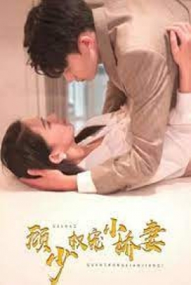 顾少权宠小娇妻【1-80合集】 顾少权宠小娇妻【1-80合集】