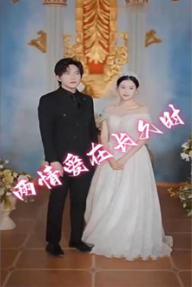 两情爱在长久时 两情爱在长久时