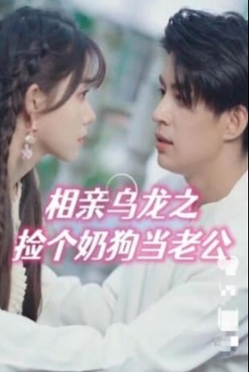 相亲乌龙之捡个奶狗当老公 相亲乌龙之捡个奶狗当老公