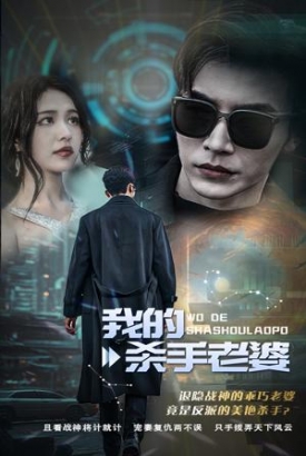 我的杀手老婆 我的杀手老婆