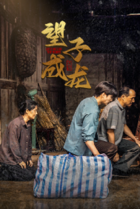新版:望子成龙 新版:望子成龙