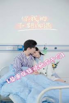 替身保镖说她不干了 替身保镖说她不干了