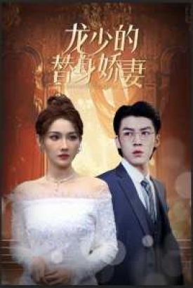 龙少的替身娇妻 龙少的替身娇妻